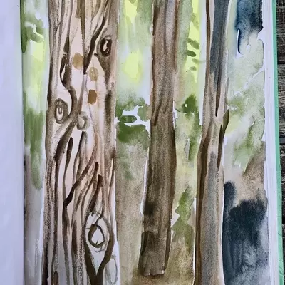 a sketchbook page featuring a painting of trees in the forest. The tress are painted with brown, blues and green watercolour with some pale yellow chalk pastel in the background .